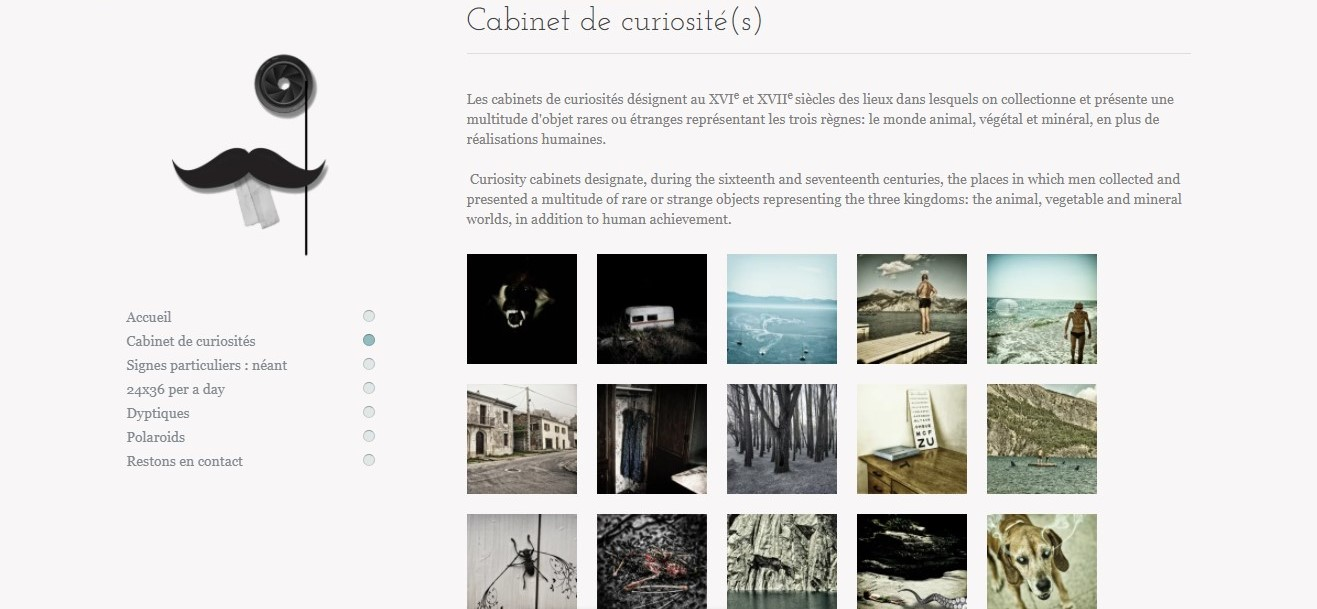 Zinzi Website Template Layout Zinzi Website Template Layout
